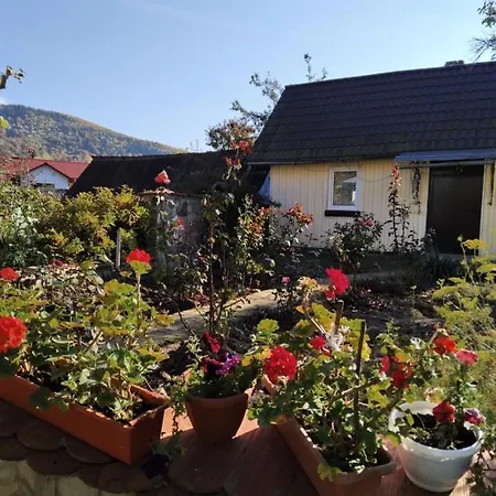 у вуйка івана * Jaremtsche